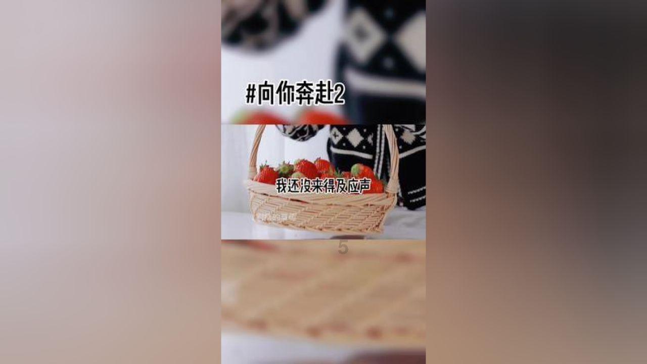 小魔仙的晚礼服