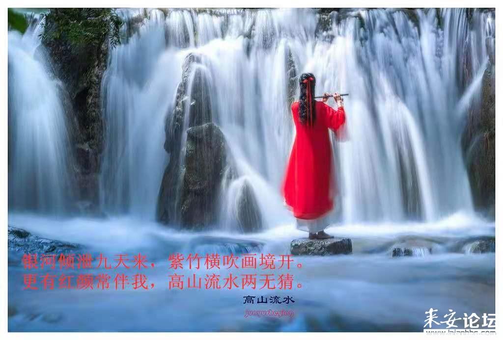 逗小猴开心系列168