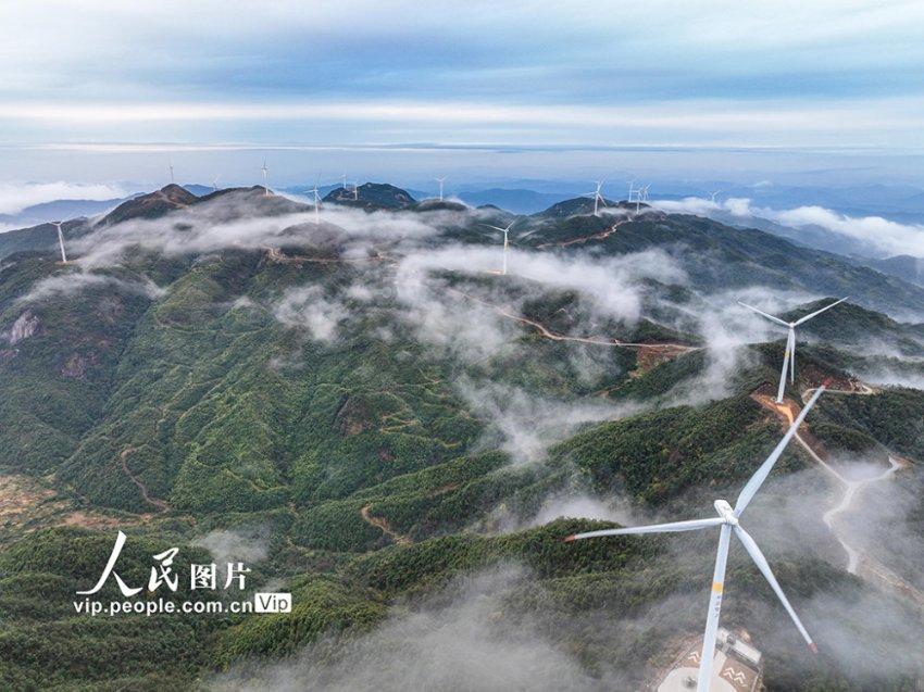 如何评价国产剧《漫长的告别》？游戏画面